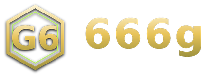 666g logo